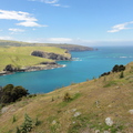 DSC00442